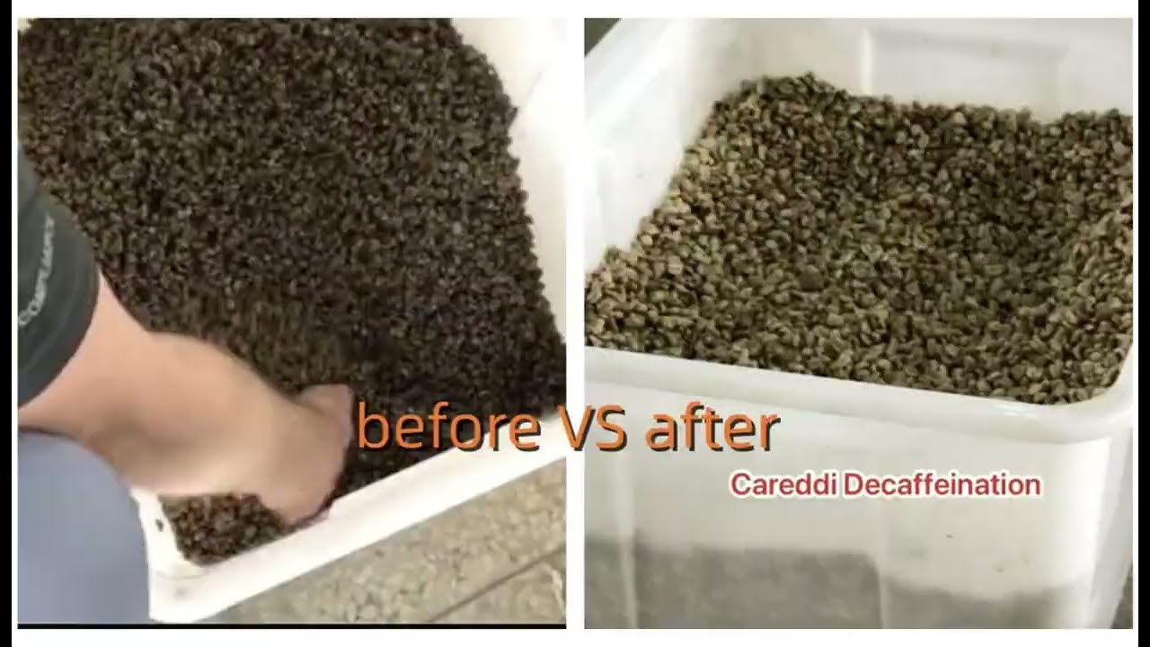 Best way to decaffeinate green coffee beans | Co2 Extraction - YouTube
