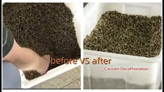 Best way to decaffeinate green coffee beans | Co2 Extraction