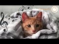 Music Cats LOVE - Soothing Expert Made Lullabies, Just for Cats 🐱❤️