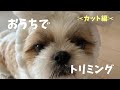 【シーズー】素人のママがおうちでトリミング！【犬Vlog】