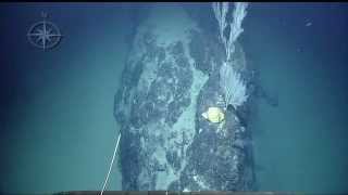 Christianna Domes Coral Nautilus Live