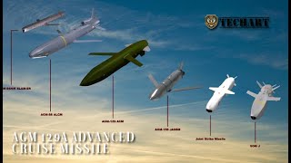 AGM-129A Advanced Cruise Missile, Some Things you need to know about it