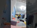 人生第一次被阿咪吼,没想到竟然是因为邻居家的猫爬架… #cat #喵哥是萌新 #貓咪