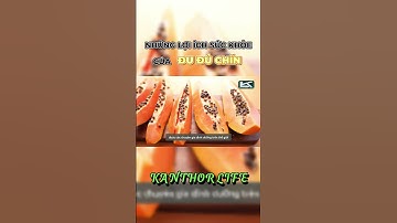 Những Lợi Ích Sức Khỏe Của Đu Đủ Chín  | Kanthor Life