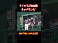 西谷監督も喜んでいるだろう！！雨で濡れたベンチを吹く中野大虎君！
