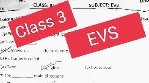 CLass 3 EVS sample paper 2023#pseb #solved #finalexam2023