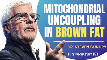 Mitochondrial Uncoupling In Brown Fat | Dr Steven Gundry Ep 7