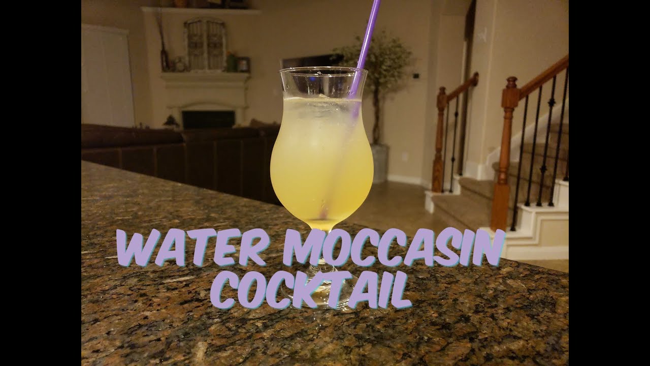VLOGMAS 11 Water Moccasin Cocktail Decorating Christmas Tree YouTube