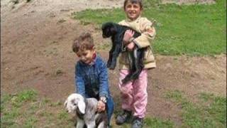 Bingöl / Ey Memleket Ey Soylu Düs