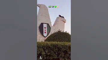 طير الحرية 