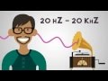 Physics - Sound Waves