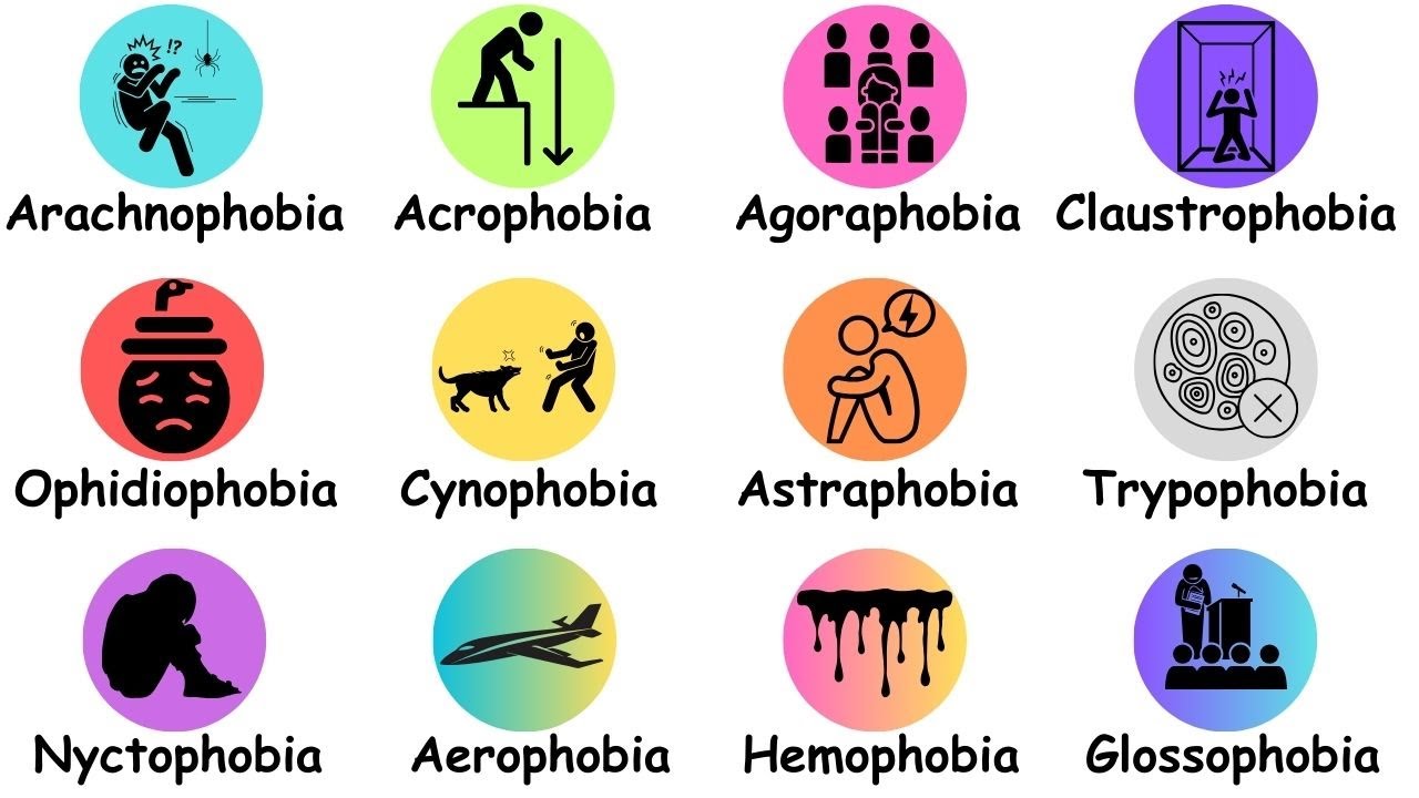 Every Phobia Explained in 8 Minutes