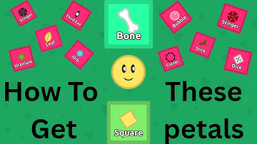 How To Get These Florr.io Petals