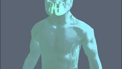 Predator invisible camo test