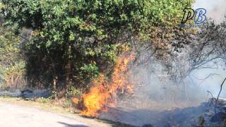 Incendio en Salcidos - A Guarda.