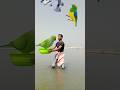 Birds catching vs frog  vfx magic funnyyoutube shortviral.