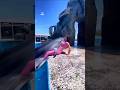 From Pool To Ocean A Dolphin S Epic Adventure Shorts 