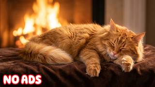 12 Hours of Calming Music for Cats 🐈 Soft Music for Emotional Comfort &amp; Restful Sleep 💤💖