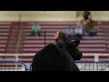 Watch Now: National Junior Angus Show