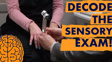 Multiple Sclerosis: Decode the SENSORY Exam