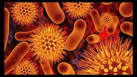 ¿Cuál es la bacteria más mortífera de las intoxicaciones alimentarias?