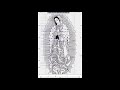 Melodía celestial, descubierta en el manto de la Virgen de Guadalupe