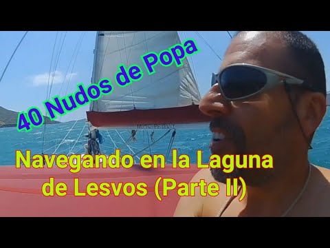 ⁣Navegando por la Laguna de Lesvos (Parte II)