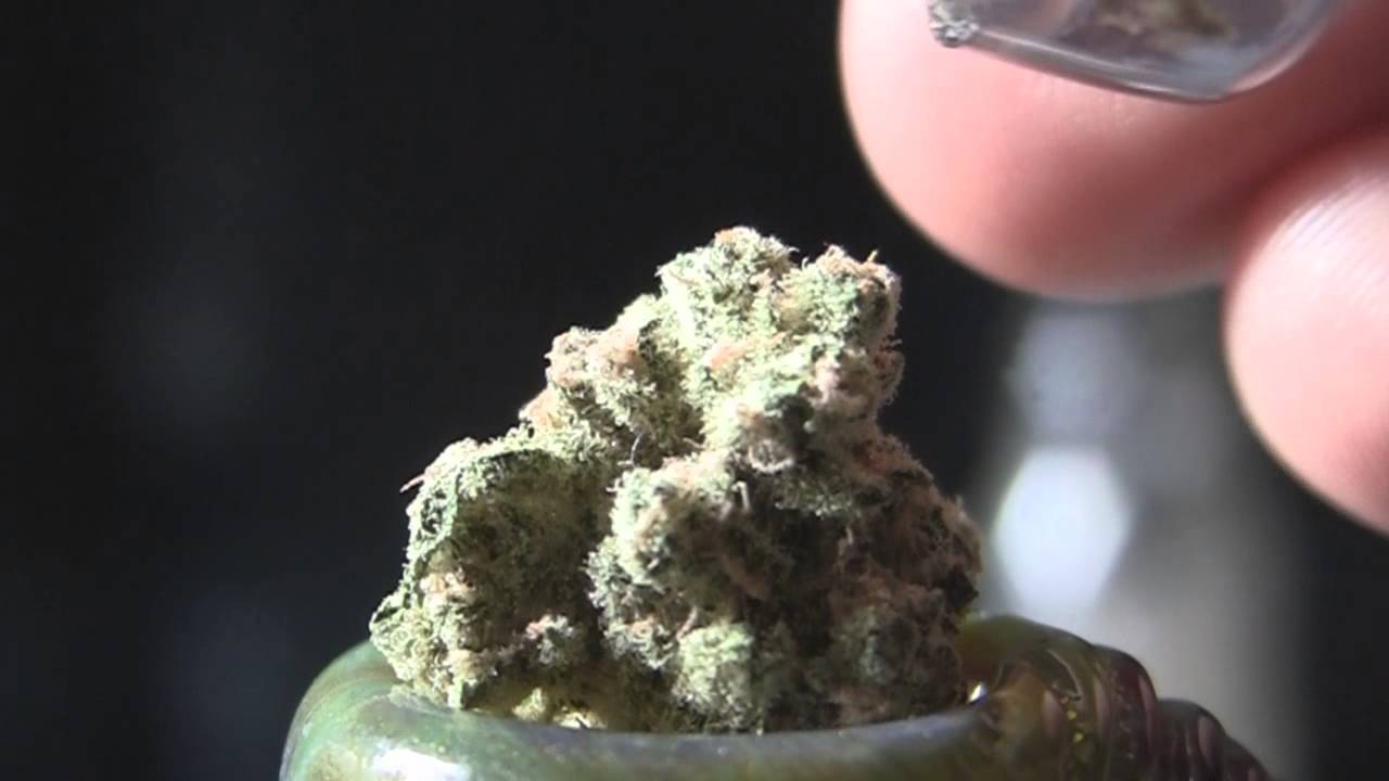 tokin daily: a tokin style xmas tree