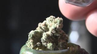 tokin daily: a tokin style xmas tree
