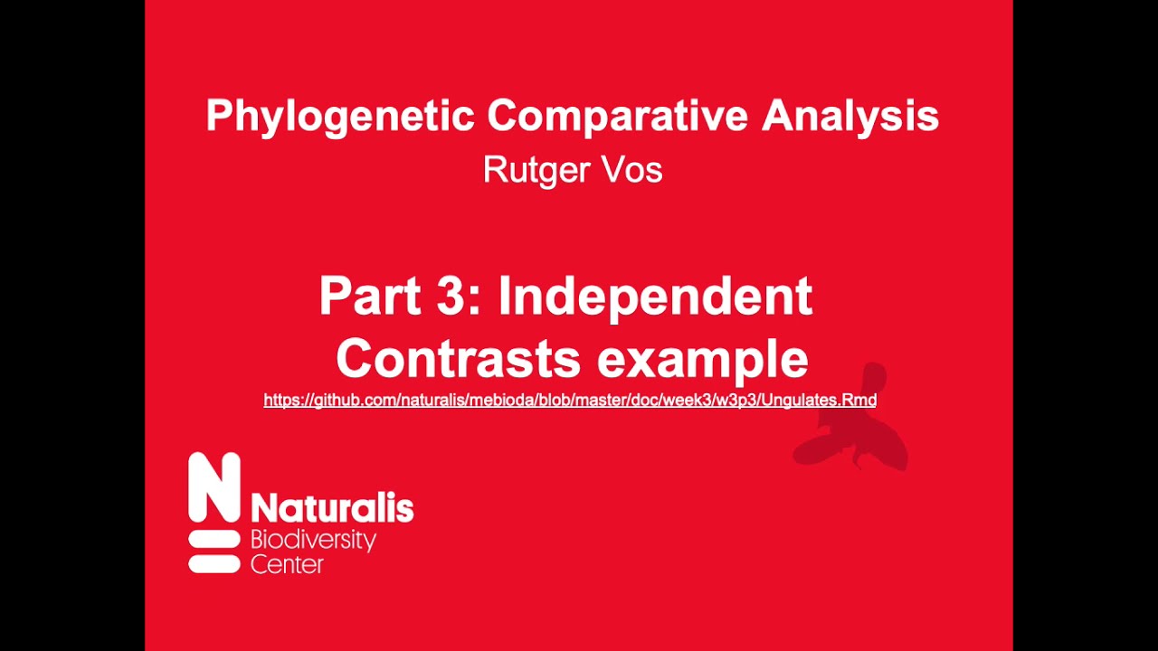 Phylogenetic comparative methods 3: independent contrasts example