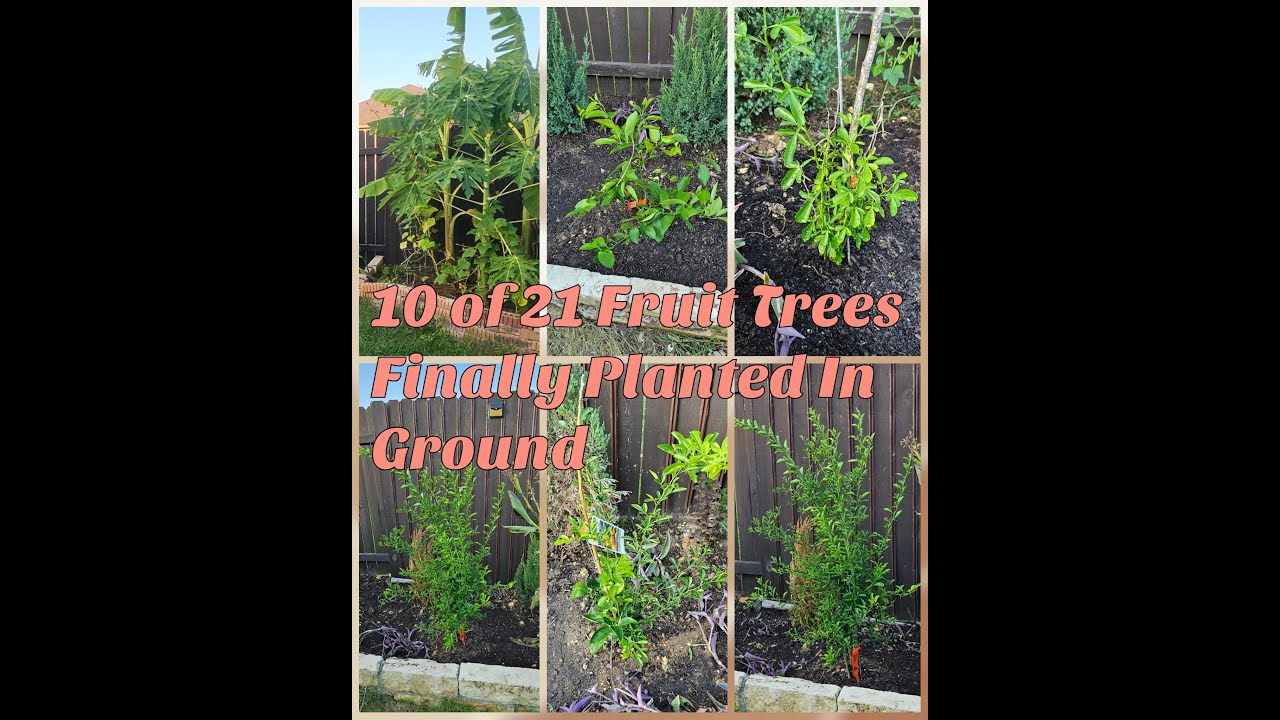 Finding A Place For Everything Garden Revamp YouTube Finding a place for everything garden revamp youtube