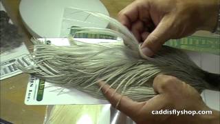Whiting Hebert Capes