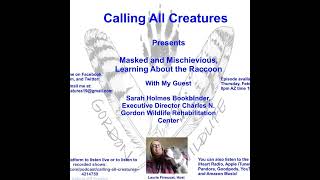 Calling All Creatures Presents Masked and Mischievious, Learning About the Raccoon