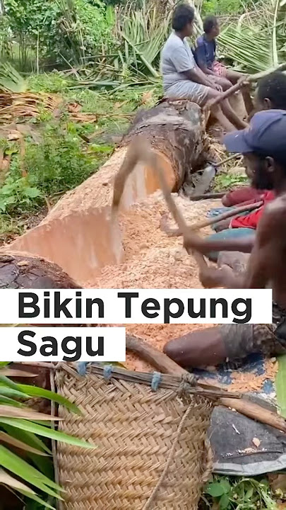Unik Banget‼️Proses Tradisional Bikin Tepung Sagu⁉️🤔 #shorts #viralvideos