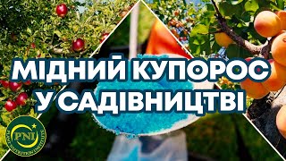 МІДНИЙ КУПОРОС: особливості застосування та найважливіші моменти | Поради для саду №1