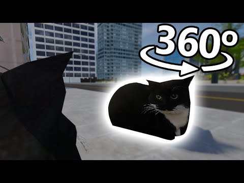 360° You Are The Maxwell The Cat In Vr4K