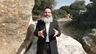 הרב יצחק פנגר - גילגולו של סתת