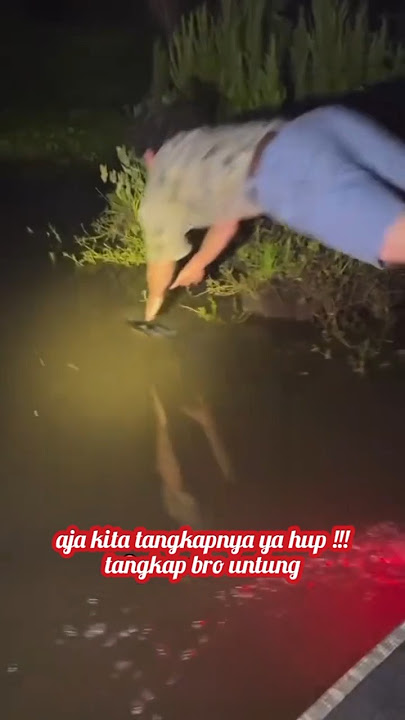 Crocodile Attack!!! Catching with Bare Hands!!! Don't Try It!!!