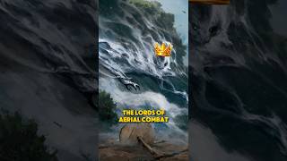 Air Elementals Are Lords of the Sky (Monster Guide 4/510) #dnd5.24