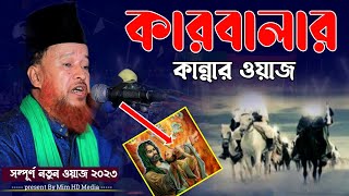 কারবালার ময়দানে ৩দিন তিন`রাত রক্তের বৃষ্টি হয়েছে | মাওঃ আব্দুর রহমান রেজভীর কারবালার নতুন ওয়াজ ২০২৩