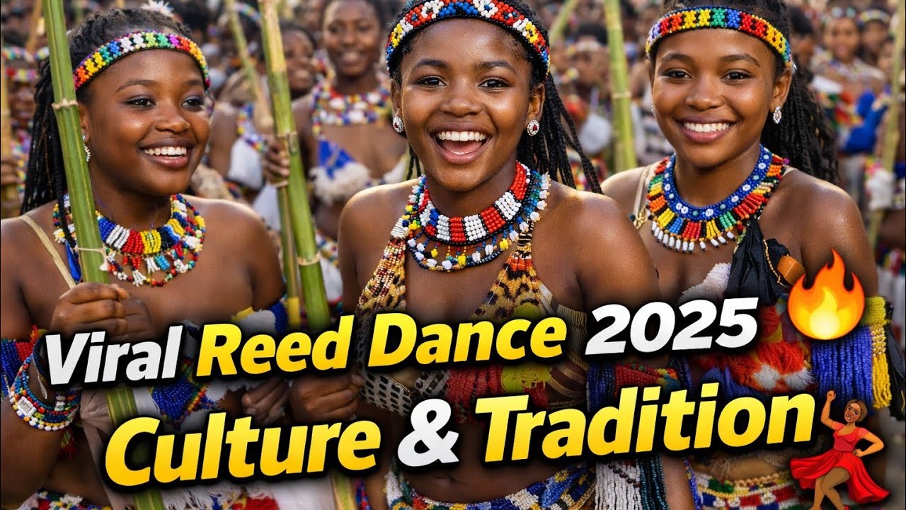 Mhlonyane Ceremony Celebration | African Culture & Tradition 2025