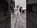 Pit bull lindinho quando pequeno, mais a evolução amedronta... #shots #pitbull