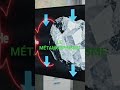 LE MÉTAMORPHISME #roches #science #viralvideo