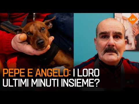 How much does it cost to save a life? | Angelo and Pepe's story!