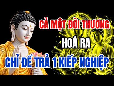 Thương Nhau Một Đời Vẫn Phải Chia Xa – Có Phải Nghiệp Duyên Đã Mãn – Nghe Pháp Để Thấu
