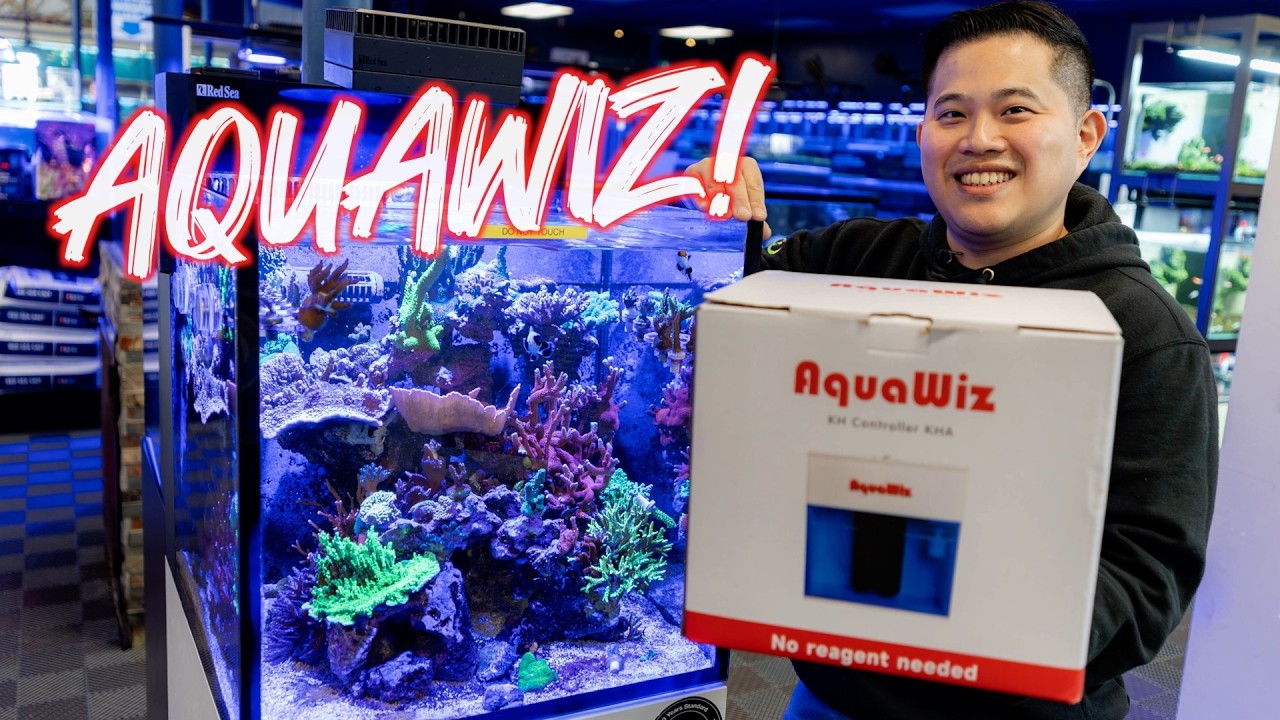 Новый продукт Aquawiz для мониторинга и поддержания щелочности без использования реагентов, спосо...