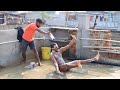 Prank with best friend in village   found2funny