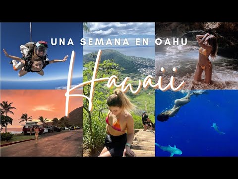UNA SEMANA EN OAHU, HAWAII: así es saltar en paracaídas o nadar con tiburones en Hawaii! 🌺