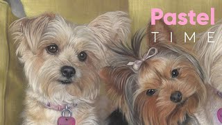 Three Dogs in Soft Pastel - Timelapse screenshot 1