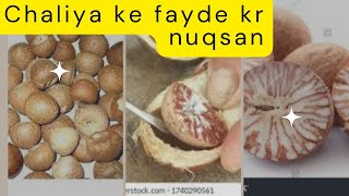 Chaliya ke fayde or nuqsan | betel nuts advantages or disadvantages | uses of betel nuts | maajee